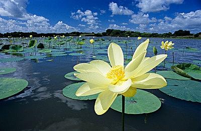 研究发现：PS5 Pro在美国的销量已落后于PS4 Pro