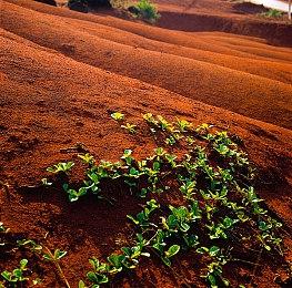 《旷野之息》模式将成为《塞尔达传说》未来的基石