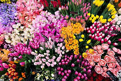 钻裙子术 《原子之心》6分40秒Any%速通世界纪录